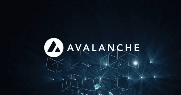 Avalanche 生态系统及其迷人的功能