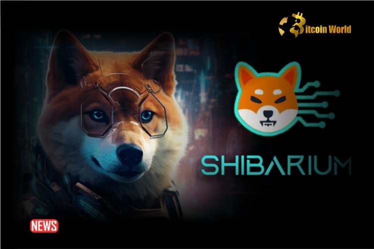 Shibarium Hits 4 Million Transactions on the Netwo
