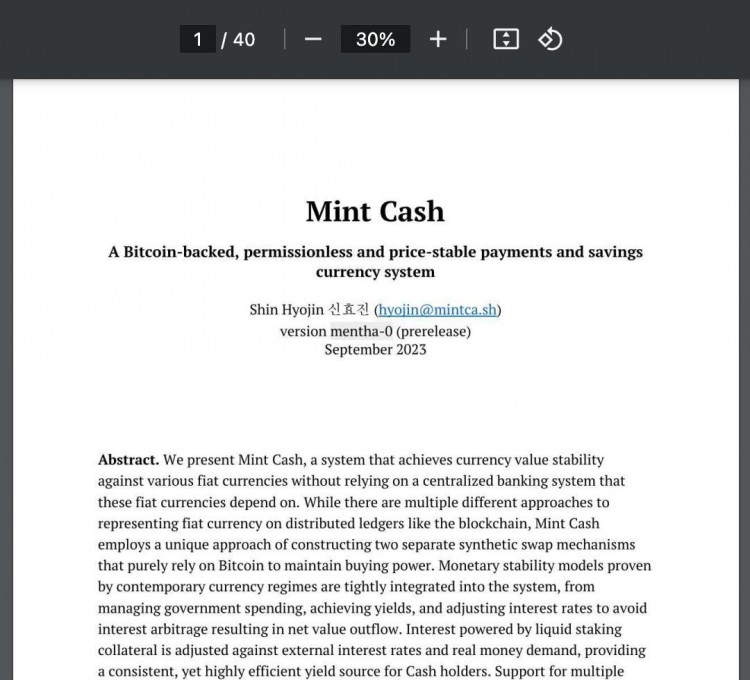 拆解 Mint Cash 白皮书：刻意创造学术词藻表演，白皮书负面案例