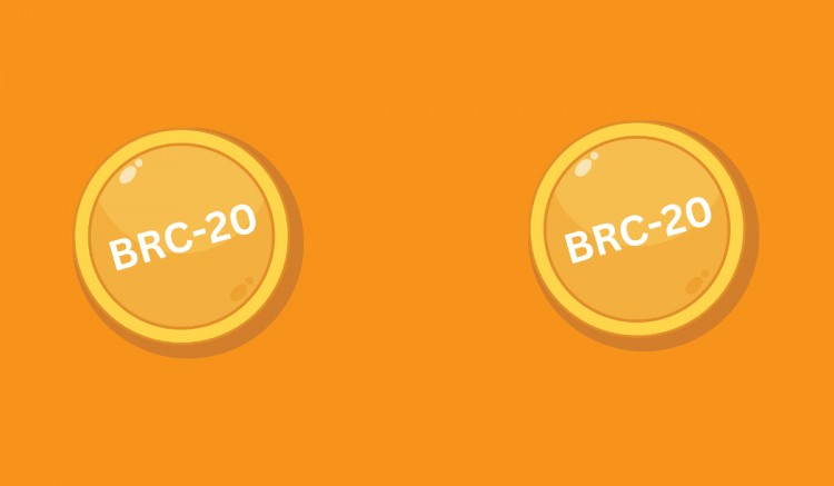你们需要关注的顶级 BRC-20 代币